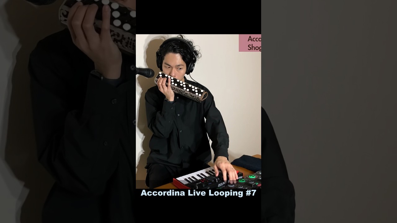 Accordina Live Loop #7 