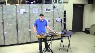 Microtunes By Robert Morris