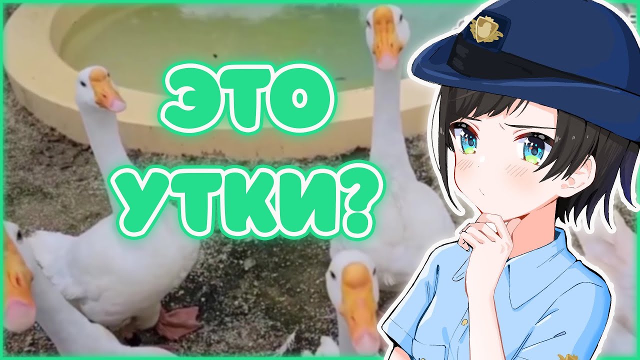 Гуси Решили Поздравить Субару [Hololive RU Sub]