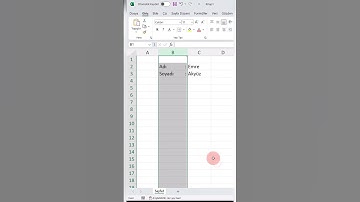 Excel