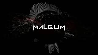 Malgum - Stray Feedback