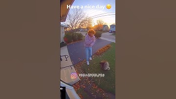 He Thought He Could Pet a Porcupine… Mistake!! #shorts