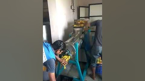 Mango pulp making machine