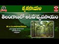 🌱 రైతుమిత్ర వ్యవసాయం | తెలంగాణలో అటవీ వ్యవసాయం (Agro-Forestry) | డా. ఎ.వి. రామాంజనేయులు | T-SAT