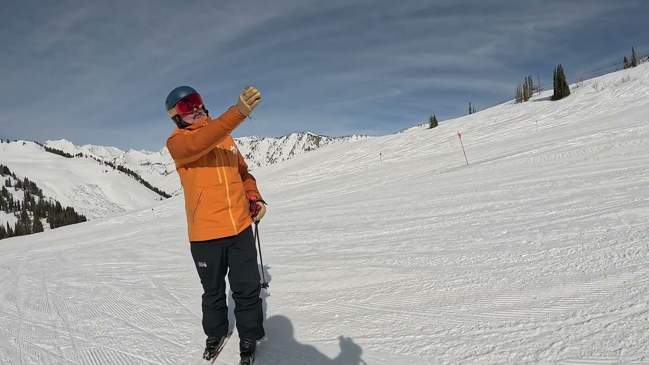 Alta Utah Skip Trip Feb 2026
