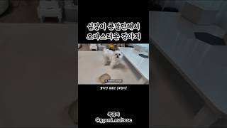 예상도 못 한 거에 놀라서 주인도 당황스럽다..