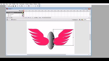 Creating Animated Wings using Adobe Flash CS3_TLED 14 Key Drawings