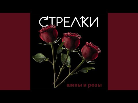 Смотреть видео на песню «{artistName} — {trackName}»