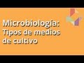 Tipos de medios de cultivo - Microbiología - Educatina