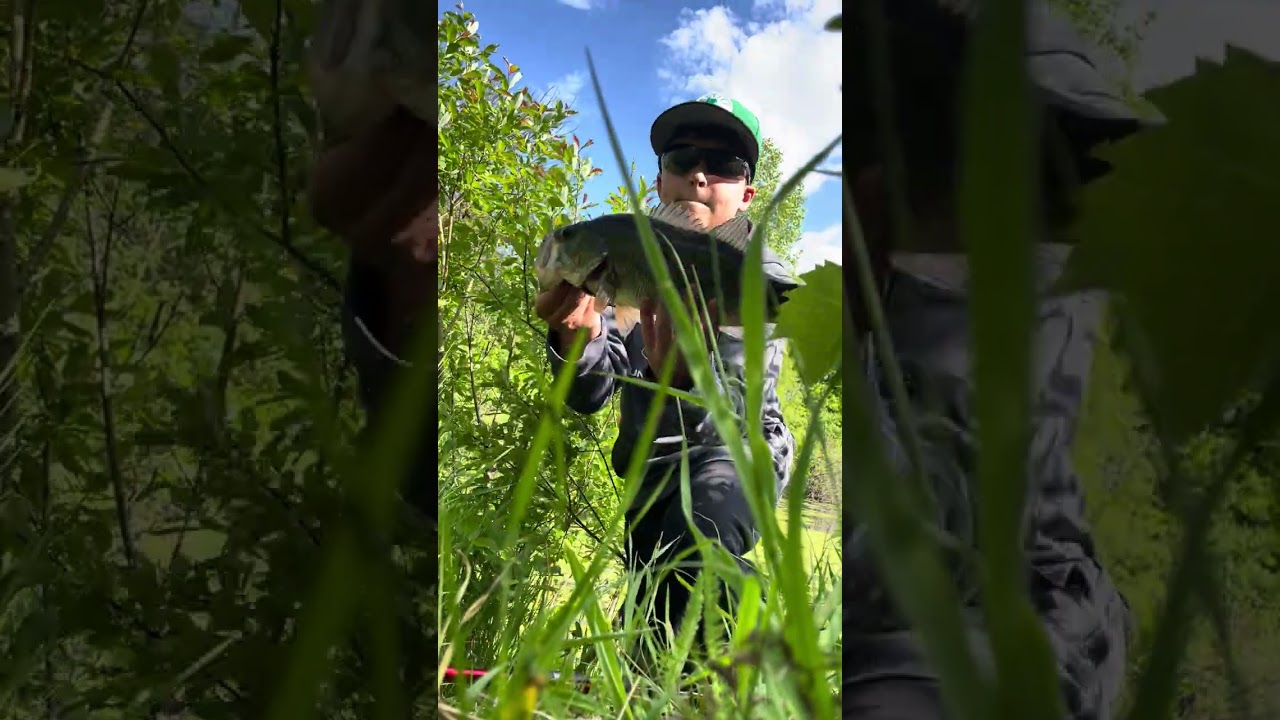 11 minutes of uncut and raw bass fishing (several fish)