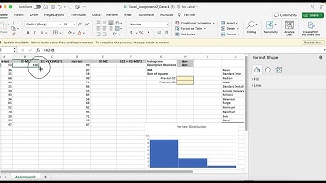 Descriptive Statistics in Excel (Week 2 Assignment)