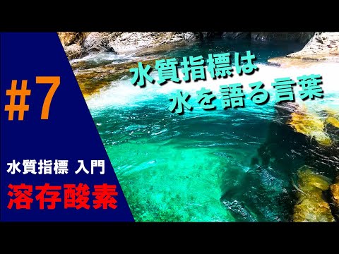 水質指標入門#7【溶存酸素ー水生生物の生命線ー】