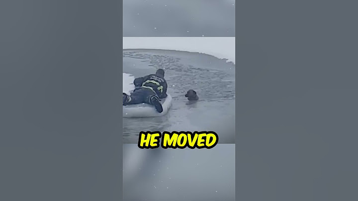 😱Dog Stuck Between Ice: This Firefighter Risked It All! @BradNolanz