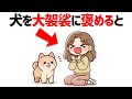 【犬が喜ぶ飼い主の13の行動】愛犬ともっと仲良くなる方法 #雑学 #豆知識 #トリビア
