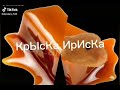 Мышка сосиска крыска ириска кот бутерброд авокадо бигемод [ЧЕК ОПИСАНИЕ]