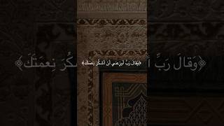 ﴿فَتَبَسَّمَ ضاحِكًا مِن قَولِها﴾ سورة النمل | القارئ بلال الدربالي#اكسبلور #قرآن #قران_كريم