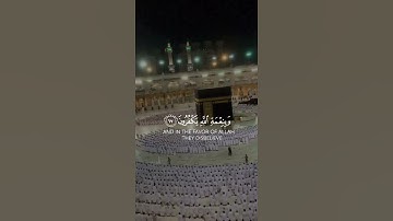 سورة العنكبوت || أولم يروا انا جعلنا حرما آمنا / القارئ انس الشافعي ||✨.