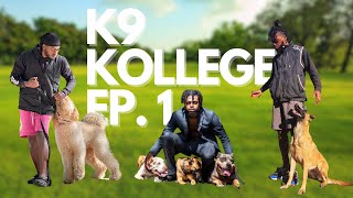 K9 Kollege EP.1 | Mastering basic commands.