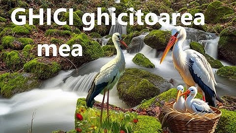 Cand știm să ghicim , sigur ne bucurăm