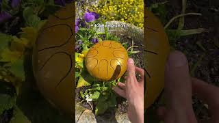 Rain Drum music in my Garden… 🥁🥰👀