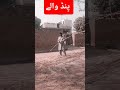 pind wale AI video #youtube #youtubeshorts #youtubevideos #ytshorts #yt