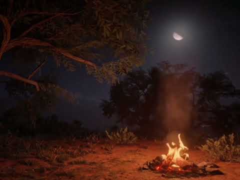 موقظا بالنور أجفان الحياة