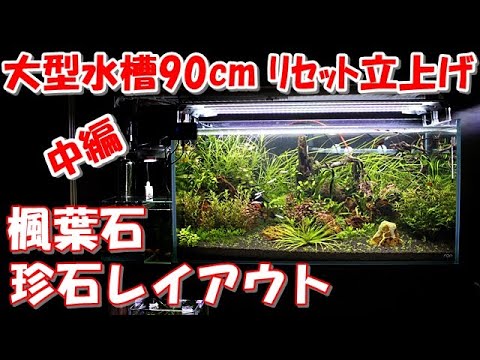 90㎝水槽リセット立上げ(中編)2/3【ADAｷｭｰﾌﾞｶﾞｰﾃﾞﾝ90series】楓葉石(珍