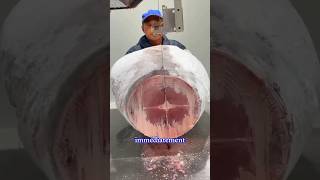 Secret Du Poisson Thon