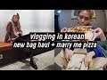 Vlogging in Korean: Making Dinner, New Handbag Haul, Cafe Adventure with Mama QQ | DTV #69
