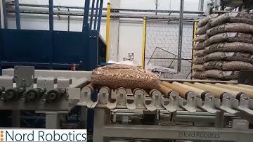 Robotic bag palletizing system