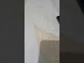 استمع اغنيه روعه عفاكم ذيرو لي شتراك ضغط على جرس بش ديما جيكم جديد