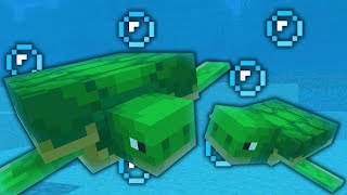 Turtle Life - Minecraft Animation