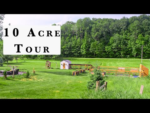 From City Life to Self-Sufficiency: A Homestead Tour