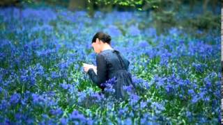 Watch Olivia Ong I Believe Mandarin Bonus Track video