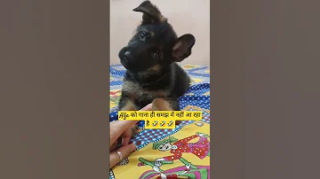 Alfa Ko Gana Hi Samjh M Nhi A Raha 