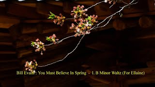 Evans : You Must Believe In Spring  -  I. B Minor Waltz For Ellaine