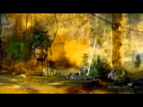 ghost გამოჩნდება ჩემი ფერადი შემოგარენი