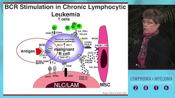 The BCR signaling pathway in CLL