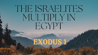 Exodus Chapter 1 The Israelites Multiply In Egypt