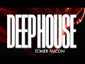 Deep House 2026 | Blue Horizon | Late Night Groove, Atmospheric House Music Tomer Falcon [Demo]