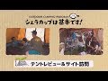 テントレビュー＆サイト訪問　御池キャンプ村編②『シェラカップは基本です！』