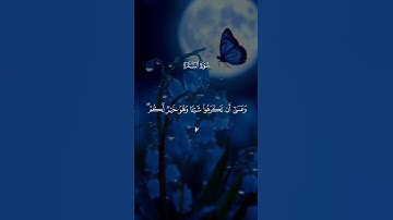 القران الكريم راحة نفسية تلاوة خاشعة حالات واتساب قران كريم💚 #حالات_واتس_اب #اكسبلور #القرآن_الكريم