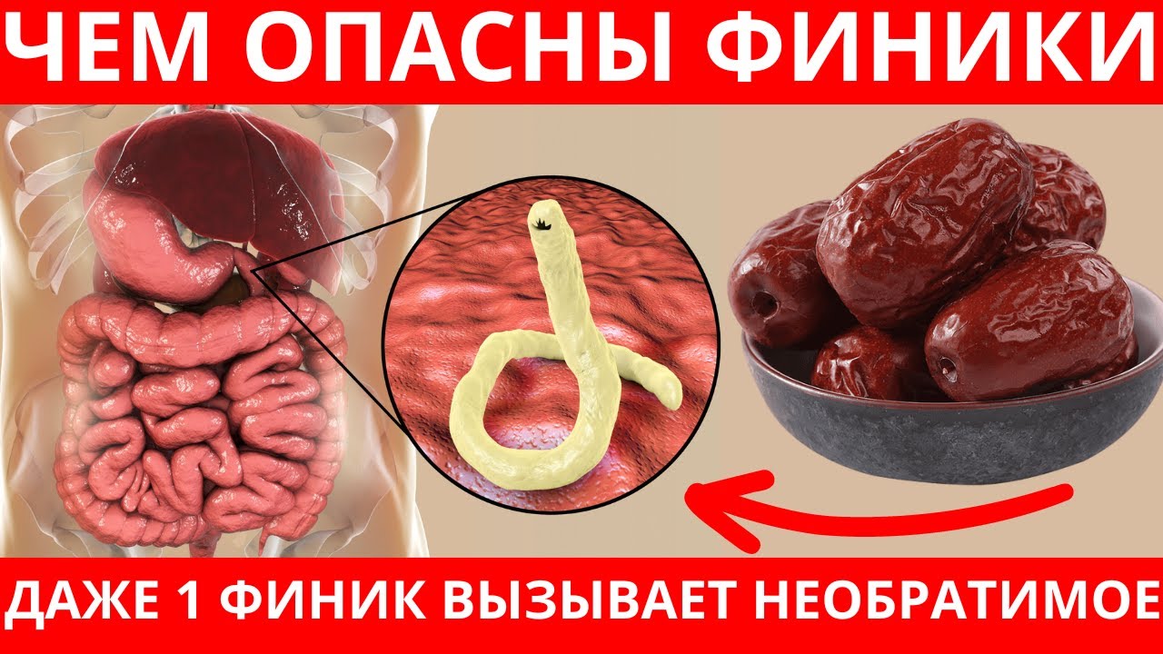 Многие едят ФИНИКИ но даже не знают о пользе и вреде фиников ! Чем ...