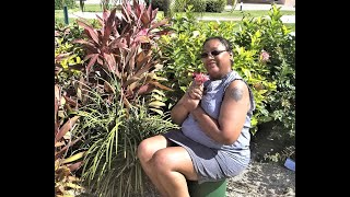 The Home Going Service of Beverly Earl McElrath