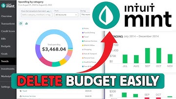 How to Delete Budget in Mint 2025?