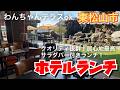 【埼玉グルメ】コスパ・ボリューム・居心地最高✨サラダバー付きホテルランチ✨静かで穏やかな時間が過ごせちゃう✨おすすめ✨