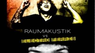 Electro Ferris Feat. Markus Lange Vs Raumakustik - Sonnenlicht Glaub Mir Doch (Popgymnastik Bootleg)