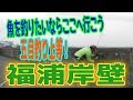釣り動画ロマンを求めて 270釣目（福浦岸壁）