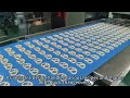 Dedicated Bailezi Stick Biscuit Forming Machine | 39s Full Running Demo | SKYWIN Machinery