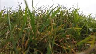 TBS Discovery Naze32 Autotune Cleanflight